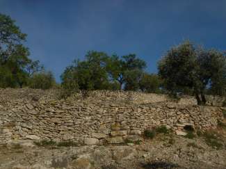 DSC08375.JPG